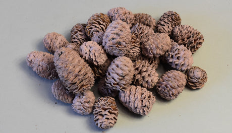 Image for Meridianum vopsit nalba