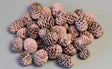 Image for Meridianum vopsit roz