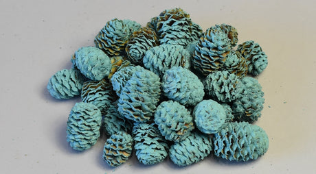 Image for Meridianum vopsit turcoaz