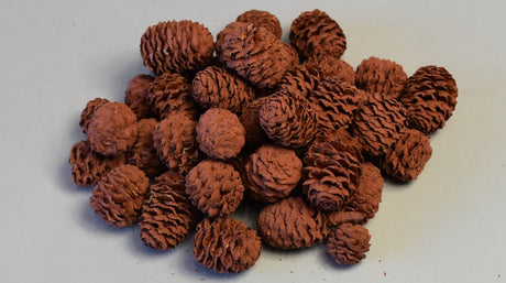 Image for Meridianum vopsit maro deschis