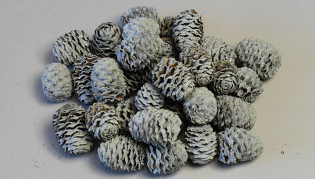 Image for Meridianum vopsit albastru deschis