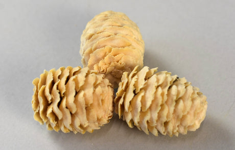 Image for Meridianum inalbit