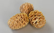 Image for Meridianum crem