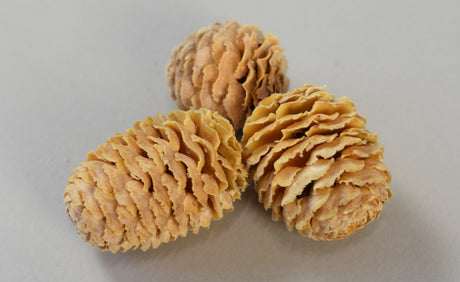 Image for Meridianum crem