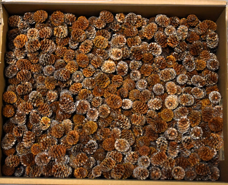 Image for Meridianum natur 2.7kg
