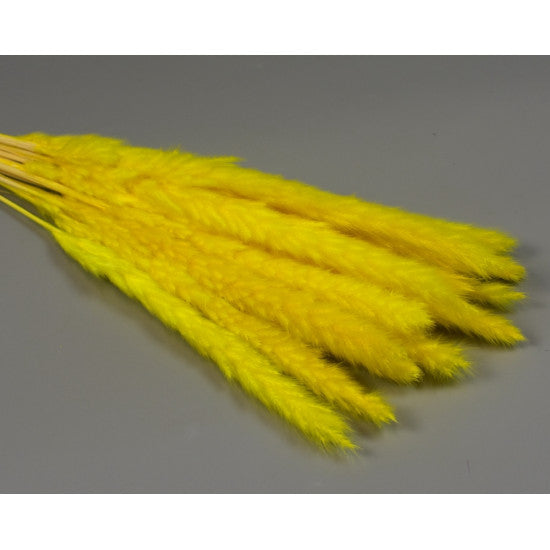 Iarba pampas mini inalbit miere
