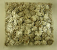 Image for Cap. fl. ming 4cm S/250 cirmos nat