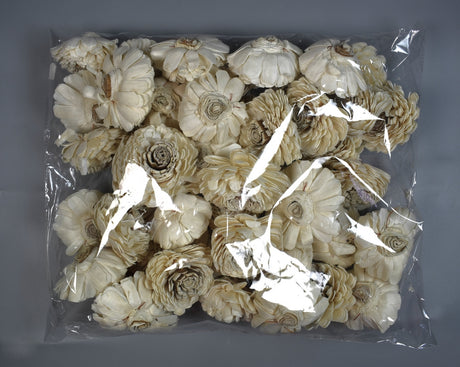 Image for Capete floarea focului ming 8cm s/50