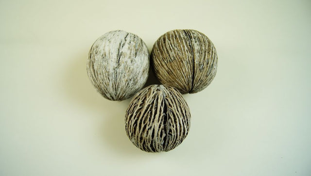 Mintola 7-9cm cu chiciura