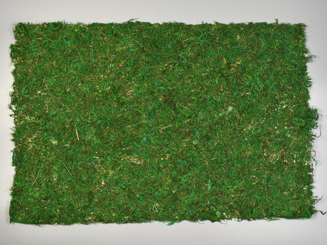 Image for Covor muschi autoadeziv 60x40cm S/2