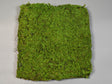 Image for Peretar din muschi 30x30cm verde mediu