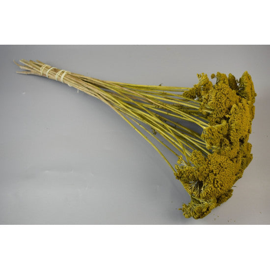 Achillea preparat verde muschi
