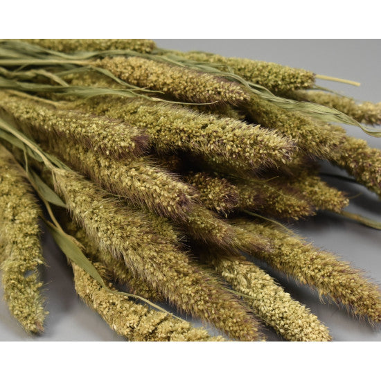 Mohor 100gr natur