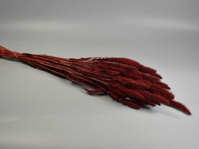 Mohor 100gr bordeaux