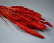 Image for Mohor 100gr inalbit rosu