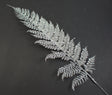 Image for Frunze feriga 25cm argintiu s/12