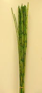 Image for Stuf colorat verde deschis
