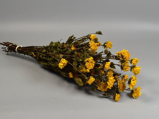 imagine produs Floarea -soarelui