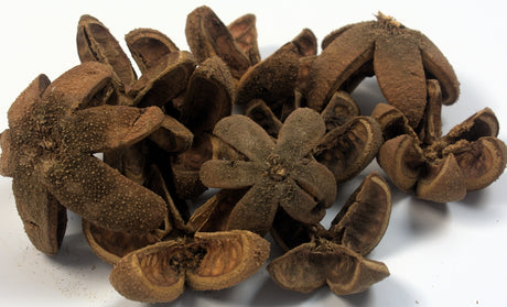 Image for Fructe de portocale natur