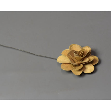 Flori acacia 6cm natur