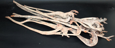 Image for Natra natur