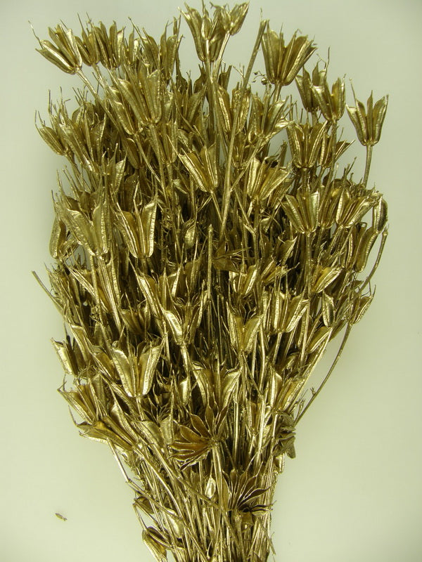 Nigella orientale 100gr auriu