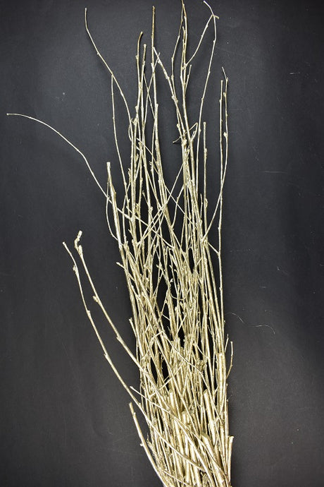 Image for Crengi din mesteacan 40cm sampanie