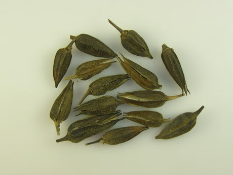 Image for Ocra natur