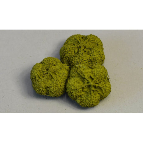 Usturoi vopsit verde oliv