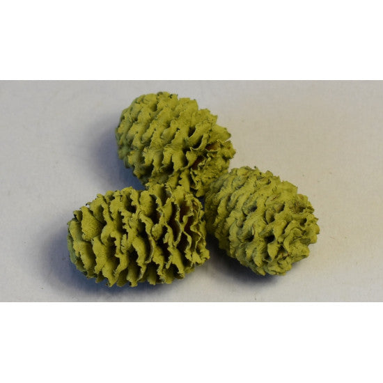 Meridianum vopsit verde oliv