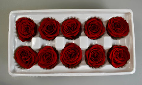 Image for Cap trandafiri criogenati 4cm  S/10