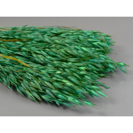 Ovaz 150g inalbit turcoaz