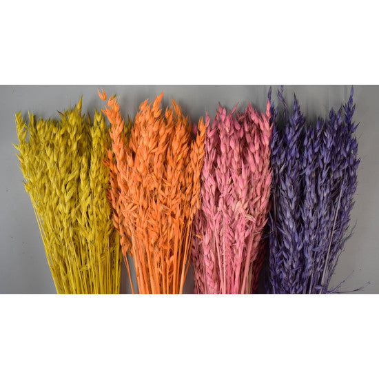 Ovaz 150gr inalbit galben