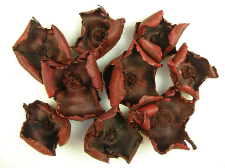 Image for Floare de palmier mic 7-9 cm rosu