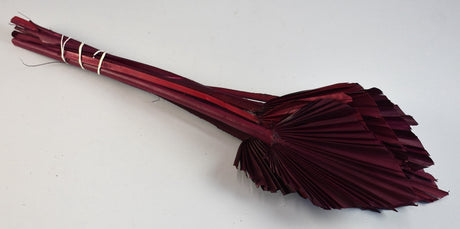 Image for Frunza palmier mediu bordeaux