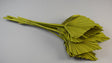 Image for Frunza palmier mediu vopsit verde oliv