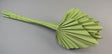 Image for Frunza palmier mediu vopsit verde deschis