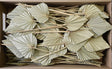 Image for Frunza palmier mediu 120buc natur