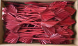 Image for Frunza palmier mediu rosu