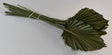 Image for Frunza palmier mediu verde inchis
