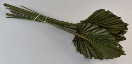 Image for Frunza palmier mediu verde inchis
