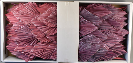 Image for Frunza palmier mediu cu chiciura rosu/bordeaux