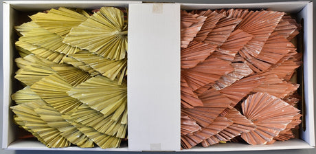 Image for Frunza palmier mediu cu chiciura galben/portocaliu