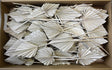 Image for Frunza palmier mediu cu chiciura 100buc/pachet
