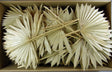 Image for Frunza palmier soare natur 50buc.