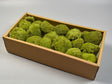 Image for Perna de muschi verde mediu