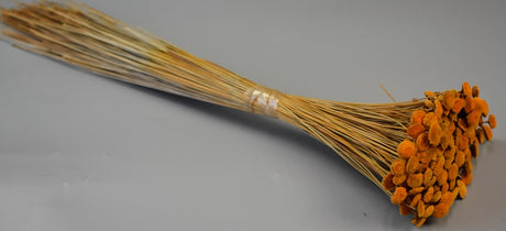 Image for Pavao 80gr portocaliu