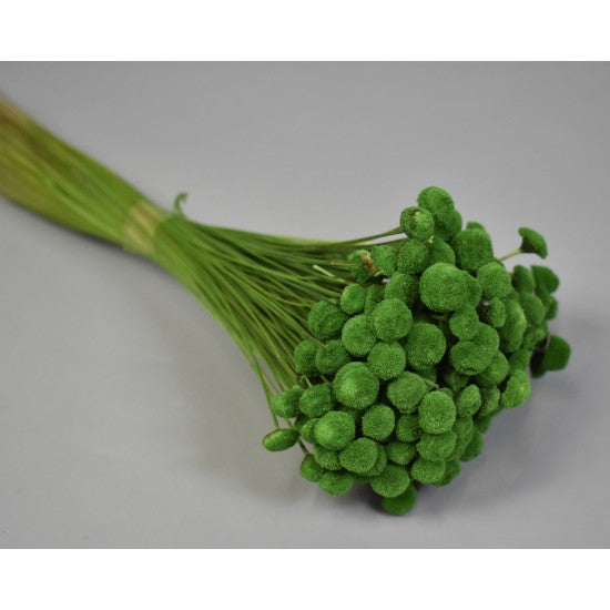 Pavao 80gr verde inchis