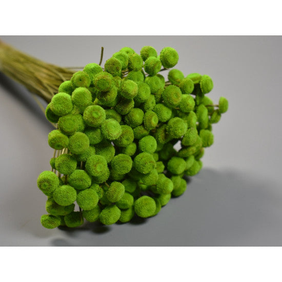 Pavao 80gr verde deschis