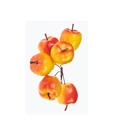 imagine produs Pick mere 13cm S/6 portocaliu